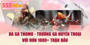 Đá Gà Thomo - Trường Gà Huyền Thoại Với Hơn 1000+ Trận Đấu